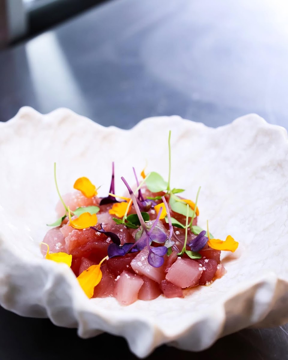 Pomelia Sea Lab Mallorca Photos 2